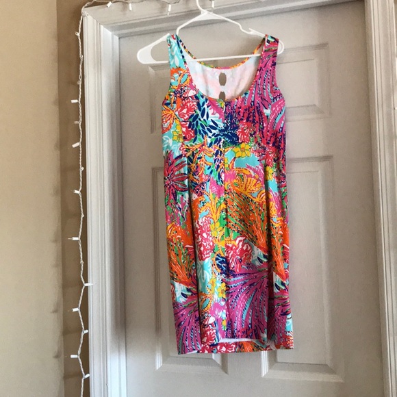 Beautiful colorful Lilly dress! - Picture 2 of 3